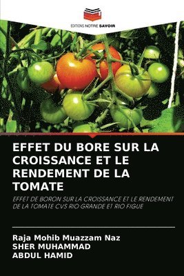 Effet Du Bore Sur La Croissance Et Le Rendement de la Tomate 1