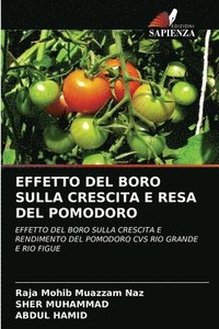 bokomslag Effetto del Boro Sulla Crescita E Resa del Pomodoro