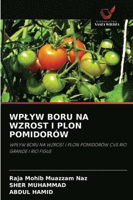 Wplyw Boru Na Wzrost I Plon Pomidorw 1