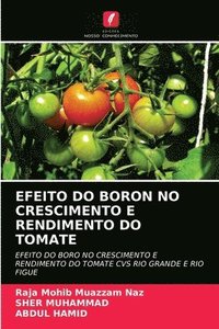 bokomslag Efeito Do Boron No Crescimento E Rendimento Do Tomate
