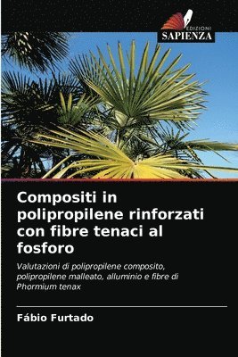 bokomslag Compositi in polipropilene rinforzati con fibre tenaci al fosforo