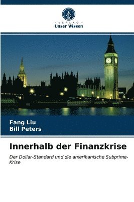 bokomslag Innerhalb der Finanzkrise