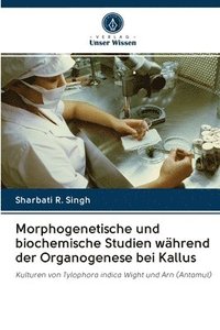 bokomslag Morphogenetische und biochemische Studien whrend der Organogenese bei Kallus