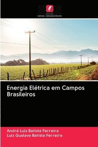 bokomslag Energia Elétrica em Campos Brasileiros