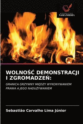 bokomslag Wolno&#346;&#262; Demonstracji I Zgromadze&#323;