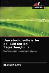 bokomslag Uno studio sulle erbe del Sud-Est del Rajasthan, India