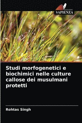 Studi morfogenetici e biochimici nelle culture callose dei musulmani protetti 1