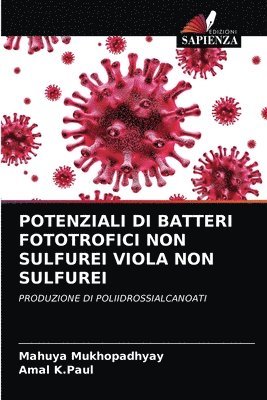 Potenziali Di Batteri Fototrofici Non Sulfurei Viola Non Sulfurei 1