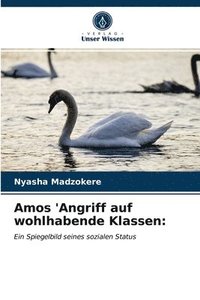 bokomslag Amos 'Angriff auf wohlhabende Klassen