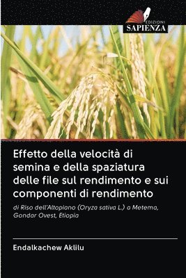 bokomslag Effetto della velocit di semina e della spaziatura delle file sul rendimento e sui componenti di rendimento