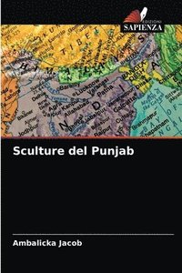 bokomslag Sculture del Punjab