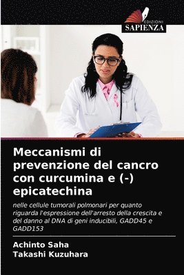 Meccanismi di prevenzione del cancro con curcumina e (-) epicatechina 1