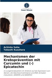 bokomslag Mechanismen der Krebsprvention mit Curcumin und (-) Epicatechin