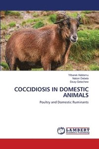 bokomslag Coccidiosis in Domestic Animals
