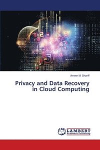bokomslag Privacy and Data Recovery in Cloud Computing