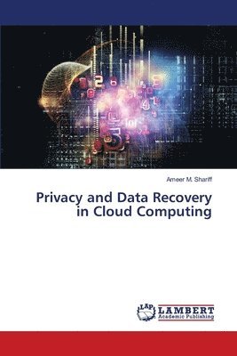 bokomslag Privacy and Data Recovery in Cloud Computing