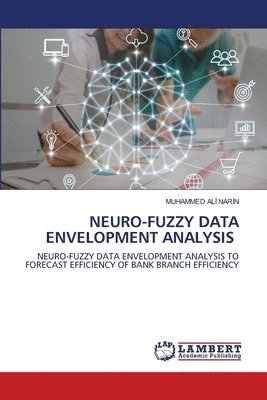 Neuro-Fuzzy Data Envelopment Analysis 1