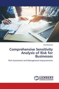 bokomslag Comprehensive Sensitivity Analysis of Risk for Businesses