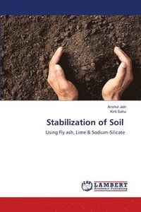 bokomslag Stabilization of Soil
