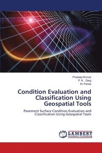 bokomslag Condition Evaluation and Classification Using Geospatial Tools