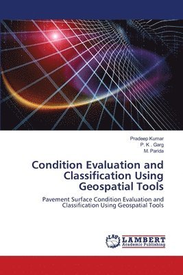 bokomslag Condition Evaluation and Classification Using Geospatial Tools