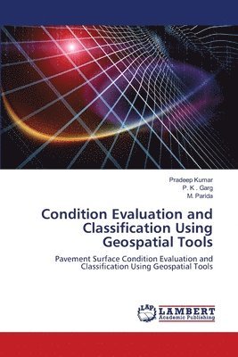 Condition Evaluation and Classification Using Geospatial Tools