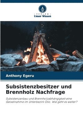 bokomslag Subsistenzbesitzer und Brennholz Nachfrage