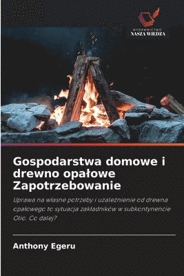 bokomslag Gospodarstwa domowe i drewno opalowe Zapotrzebowanie