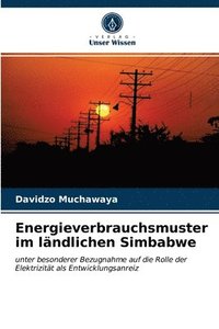 bokomslag Energieverbrauchsmuster im lndlichen Simbabwe