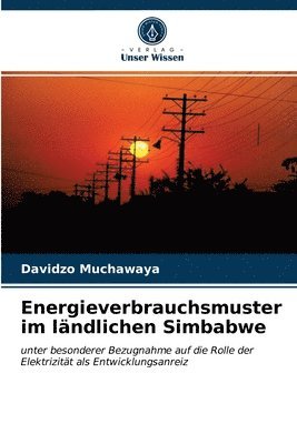 Energieverbrauchsmuster im lndlichen Simbabwe 1