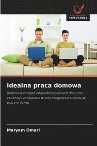 bokomslag Idealna praca domowa