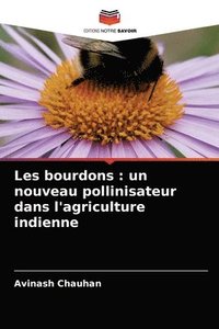 bokomslag Les bourdons