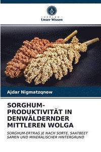 bokomslag Sorghum-Produktivitt in Denwlderndermittleren Wolga