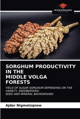Sorghum Productivity in Themiddle Volgaforests 1