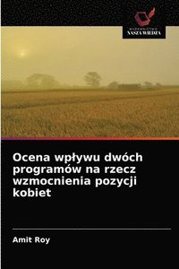 bokomslag Ocena wplywu dwch programw na rzecz wzmocnienia pozycji kobiet