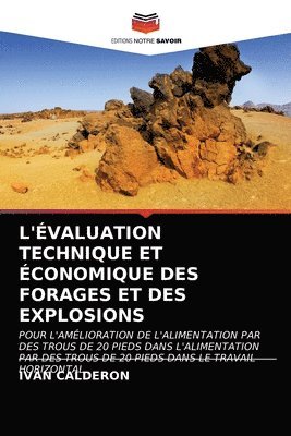 bokomslag L'valuation Technique Et conomique Des Forages Et Des Explosions