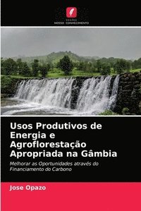 bokomslag Usos Produtivos de Energia e Agroflorestao Apropriada na Gmbia