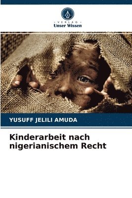 bokomslag Kinderarbeit nach nigerianischem Recht