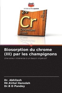bokomslag Biosorption du chrome (III) par les champignons