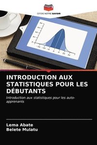bokomslag Introduction Aux Statistiques Pour Les Dbutants