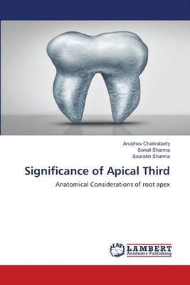 bokomslag Significance of Apical Third