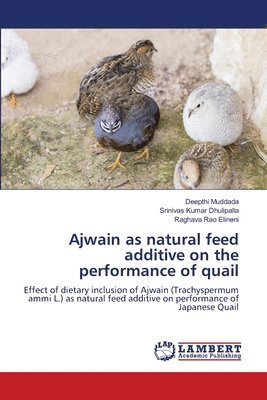 bokomslag Ajwain as natural feed additive on the performance of quail