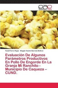 bokomslag Evaluacin De Algunos Parmetros Productivos En Pollo De Engorde En La Granja Mi Ranchito - Municipio De Caqueza - CUND.