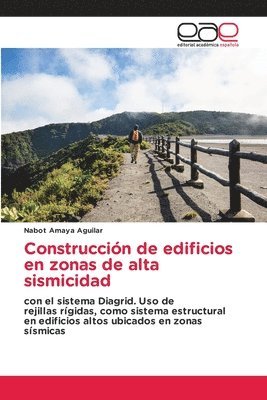 bokomslag Construcción de edificios en zonas de alta sismicidad