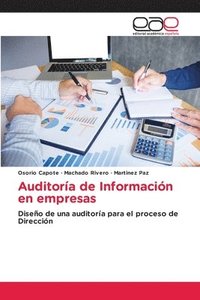 bokomslag Auditora de Informacin en empresas