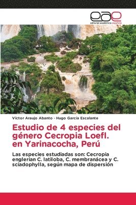 Estudio de 4 especies del gnero Cecropia Loefl. en Yarinacocha, Per 1