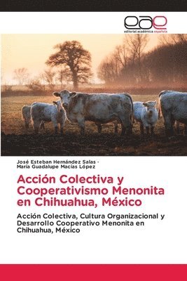 bokomslag Accin Colectiva y Cooperativismo Menonita en Chihuahua, Mxico