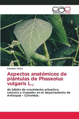 bokomslag Aspectos anatmicos de plntulas de Phaseolus vulgaris L.,