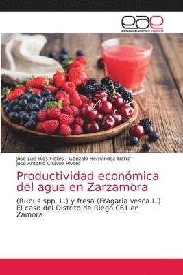 Productividad econmica del agua en Zarzamora 1