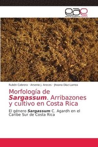bokomslag Morfologa de Sargassum. Arribazones y cultivo en Costa Rica